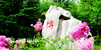 大学章程